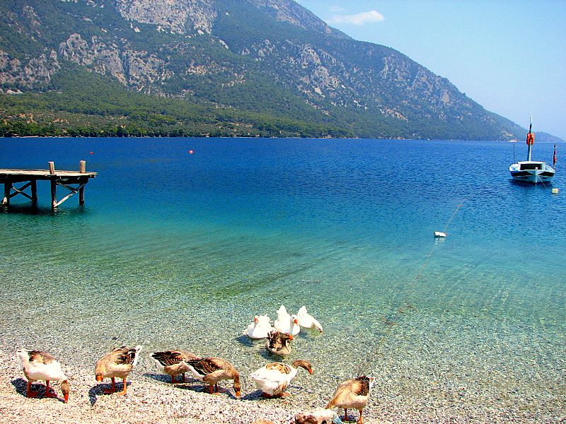 Immobilien in Akbük,Türkei SON A MAR Immobilien